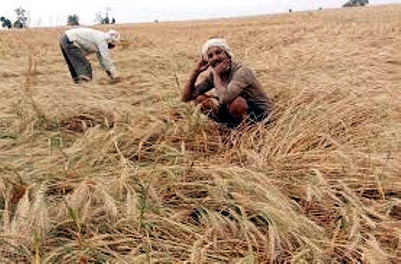 Photo of अन्नदाता किसानों को मौसम की मार से जल्द राहत दो सरकार