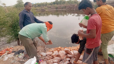 Photo of ‘शुद्ध आहार-मिलावट पर वार’ अभियान : 250 किग्रा दूषित खाद्य सामग्री को कराया नष्ट