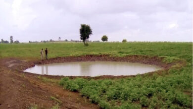 Photo of ‘कैच द रेन’ अभियान को तेजी से पूरा करने में जुटी योगी सरकार