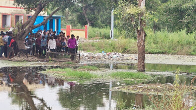 Photo of शाहजहांपुर में तालाब में दो मगरमच्छ पहुंचने से दहशत