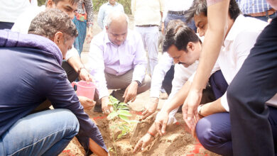 Photo of आरएसएलडीसी मुख्यालय परिसर में 200 से अधिक पौधे लगाए