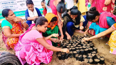 Photo of 1000 दीदियों की बाड़ी में मचान विधि से लगाई जा रही है सब्जी