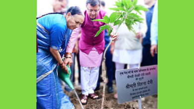 Photo of मुख्यमंत्री ने अपनी माताजी के नाम से पौधारोपण किया