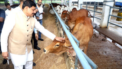 Photo of राज्य सरकार गौ-पालन को लाभ का धंधा बनाने के लिए प्रतिबद्ध : मुख्यमंत्री डॉ. यादव