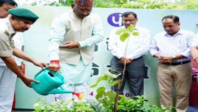 Photo of राज्य में ‘एक पेड़ मां के नाम‘ अभियान का शुभारंभ