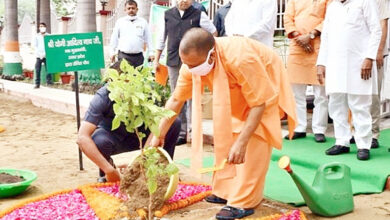 Photo of वृक्षारोपण महाभियान के तहत लगाएंगे 30-35 करोड़ पौधरोपण