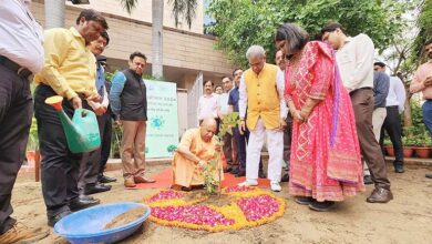 Photo of 20 जुलाई को पौधरोपण का नया रिकॉर्ड बनाएगा उत्तर प्रदेश