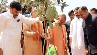 Photo of 20 जुलाई को एक पेड़ माॅ के नाम पर अवश्य लगायेंः योगी