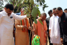 Photo of ‘एक पेड़ मां के नाम’ अभियान से मिलेगी प्रेरणाः सीएम योगी