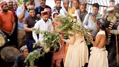 Photo of देव भूमि कुल्लू में बिच्छू बूटी का प्रसाद बांटकर निभाई प्राचीन देव परंपरा