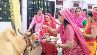 Photo of टोंक : गाय के साथ बछड़े की पूजा आज