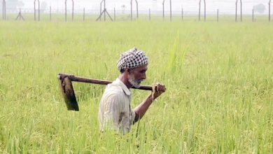 Photo of प्रदेश के किसानों को मिला 6281 करोड़ रूपए का अल्पकालीन कृषि ऋण