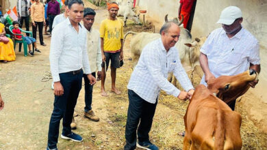 Photo of मवेशियों-बकरियों में खुरहा-चपका (एमएमडी) के बचाव हेतु मिशन मोड़ में सघन टीकाकरण प्रारंभ