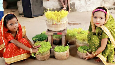 Photo of कर्मा पर्वः जनजातीय समुदायों की सांस्कृतिक धरोहर और धार्मिक मान्यताएँ का पर्व