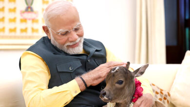 Photo of प्रधानमंत्री ने अपने आवास में नवजात बछिया का नाम ‘दीपज्योति’ रखा