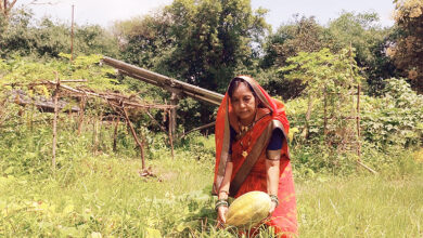 Photo of जीरो बजट खेती से किसानों की आमदनी हो रही है दोगुनी, बदल रही है महिला कृषक सुशीला गबेल की जिंदगी