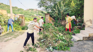 Photo of स्वच्छता ही सेवा अभियान के तहत प्रदेशभर में विभिन्न स्वच्छता गतिविधियों का आयोजन किया गया