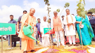 Photo of ‘एक पेड़ मां के नाम’ अभियान में भी शीर्ष पर उत्तर प्रदेश