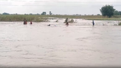 Photo of क्षमता से अधिक लोगों से भरी नाव पलटी, सभी लोग सुरक्षित