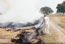 Photo of पराली जलाने वाले किसानों के खिलाफ सख्त हरियाणा सरकार