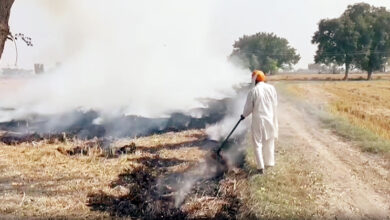 Photo of पराली जलाने वाले किसानों के खिलाफ सख्त हरियाणा सरकार