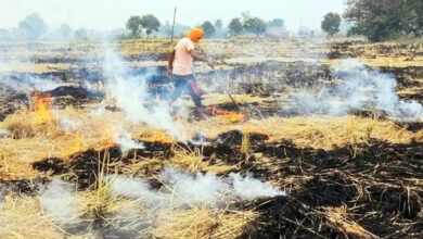 Photo of अब एनसीआर और आस-पास के क्षेत्रों में पराली जलाने के मामले में निष्क्रियता बरतने पर चलेगा मुकदमा