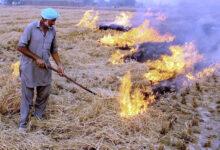 Photo of जहरीली होती हवा से गहराता सांसों का संकट