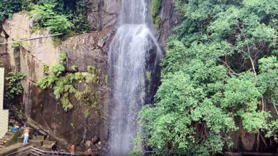 Photo of ककोलत जलप्रपात में सौंदर्यीकरण से सैलानियों की संख्या और आमदनी में बढ़ोतरी