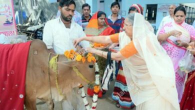 Photo of गोवर्धन के दिन होती है गौ धन की पूजा