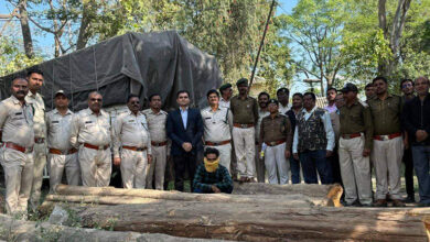 Photo of सागौन के अवैध परिवहन पर की गई सख्त कार्रवाई