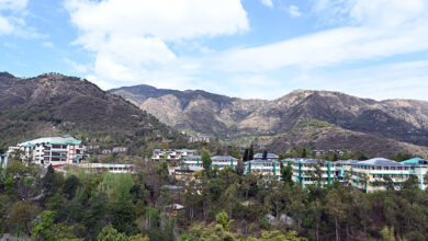 Photo of नौणी विश्वविद्यालय 1 दिसम्बर को 40वां स्थापना दिवस और 13वां दीक्षांत समारोह मनाएगा, 816 डिग्रियां, 12 स्वर्ण पदक प्रदान किए जाएंगे