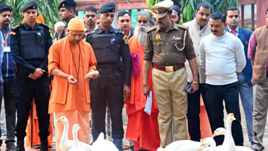 Photo of जनता दर्शन में मुख्यमंत्री योगी आदित्यनाथ ने सुनीं 300 लोगों की समस्याएं