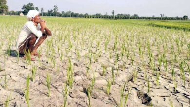 Photo of तिल-तिल मरता किसान और तिल-गुड़ बांटता देश