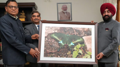 Photo of राजभवन में जल्द बनकर तैयार होगा बटरफ्लाई गार्डन, तितलियों को आकर्षित करने के लिए लगेंगे स्थानीय पौधे