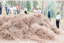 Photo of डीएम पौड़ी ने चलाया पिरुल के एकत्रीकरण अभियान