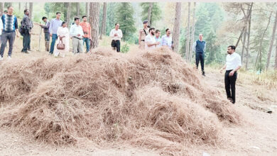 Photo of डीएम पौड़ी ने चलाया पिरुल के एकत्रीकरण अभियान