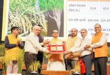 Photo of कृषि क्षेत्र में नवाचार : भारत की पहली जीनोम-संपादित चावल की किस्में