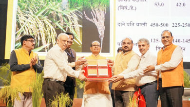 Photo of कृषि क्षेत्र में नवाचार : भारत की पहली जीनोम-संपादित चावल की किस्में