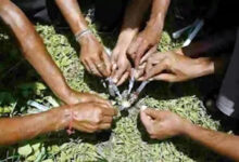 Photo of नशा मुक्त भारत बनाने की बड़ी चुनौती