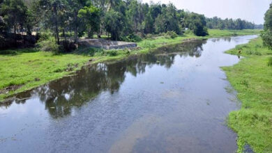 Photo of प्रकृति एवं जीवन रक्षा के लिये नदियों का संरक्षण जरूरी
