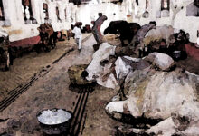 Photo of कहानी: दीवारों पर उम्मीद का रंग