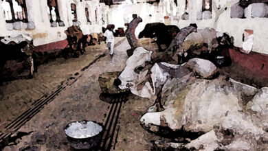 Photo of कहानी: दीवारों पर उम्मीद का रंग