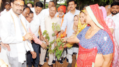 Photo of राजस्थान विधान सभा अध्यक्ष का एक और नवाचार – विधान सभा में बनाई कारगिल शौर्य वाटिका