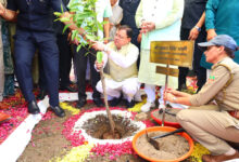 Photo of हरेला का त्योहार मनाओ, धरती माँ का ऋण चुकाओ