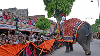 Photo of राजस्थान में तीज की सवारी के साथ शुरू हुआ सालाना परंपरागत त्यौहारों का आगाज