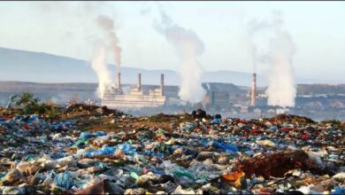 Photo of वर्ष 2060 तक एक अरब टन प्रति वर्ष से ज्यादा हो जाएगा प्लास्टिक उत्पादन !