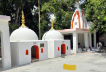 Photo of बनखंडा में रविवार से होगा अजगर बसंती माता मेले का आयोजन : योगेश त्यागी