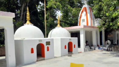 Photo of बनखंडा में रविवार से होगा अजगर बसंती माता मेले का आयोजन : योगेश त्यागी