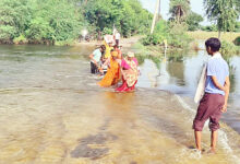 Photo of रेगिस्तान प्रधान राजस्थान में इस बार वर्षा तोड़ रही पुराने रिकॉर्ड