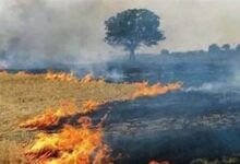 Photo of पराली जलाने की आग में झुलसता उत्तर भारत